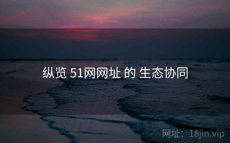 纵览 51网网址 的 生态协同