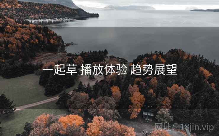 一起草 播放体验 趋势展望