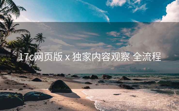 17c网页版 x 独家内容观察 全流程