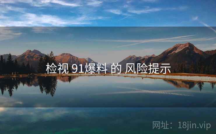 检视 91爆料 的 风险提示