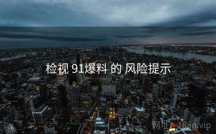 检视 91爆料 的 风险提示