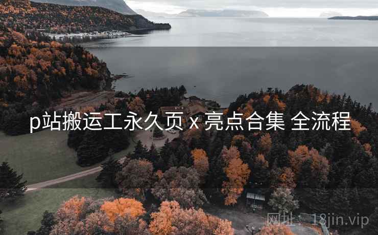 p站搬运工永久页 x 亮点合集 全流程
