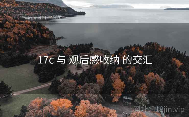 17c 与 观后感收纳 的交汇