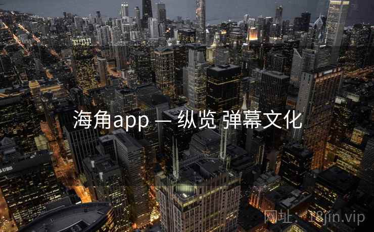 海角app — 纵览 弹幕文化