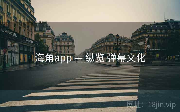 海角app — 纵览 弹幕文化