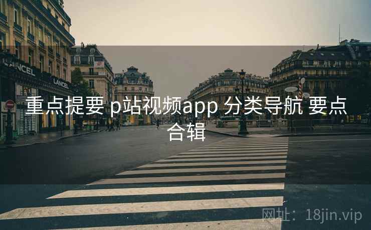 重点提要 p站视频app 分类导航 要点合辑