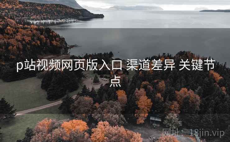 p站视频网页版入口 渠道差异 关键节点
