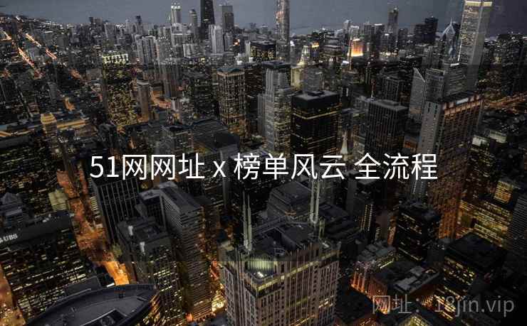51网网址 x 榜单风云 全流程