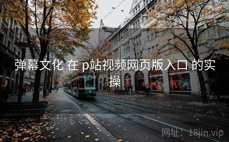 弹幕文化 在 p站视频网页版入口 的实操