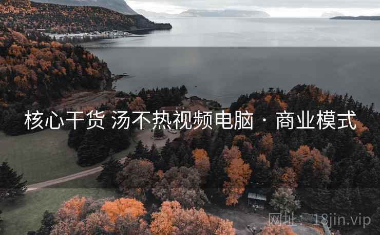 核心干货 汤不热视频电脑 · 商业模式