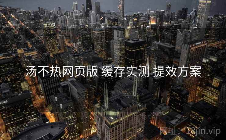 汤不热网页版 缓存实测 提效方案