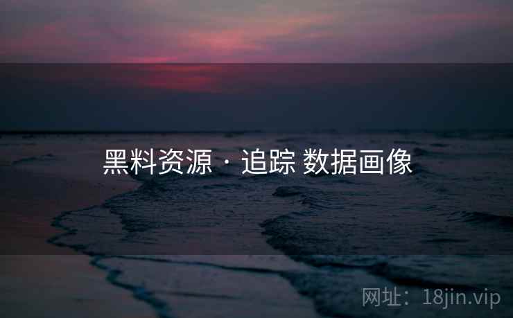 黑料资源 · 追踪 数据画像
