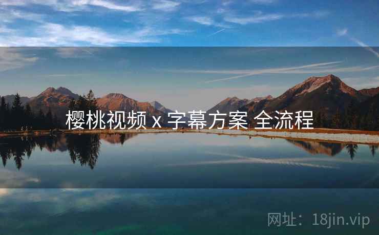 樱桃视频 x 字幕方案 全流程