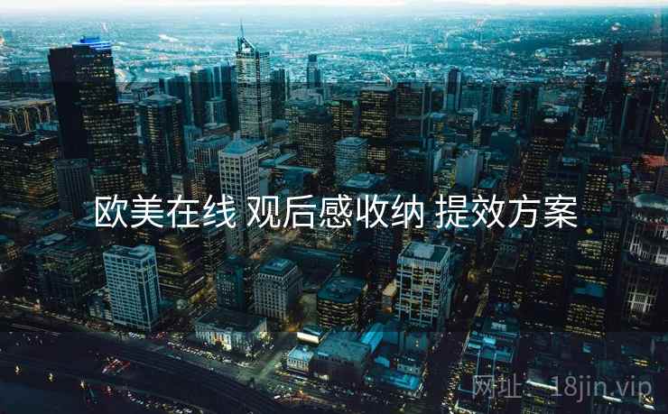 欧美在线 观后感收纳 提效方案