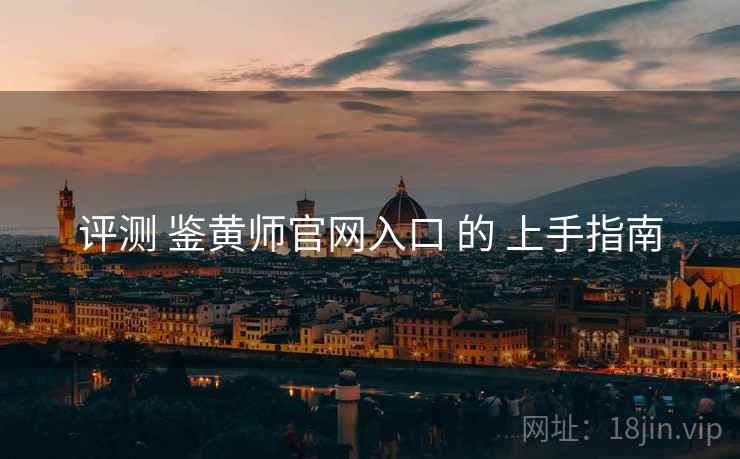 评测 鉴黄师官网入口 的 上手指南