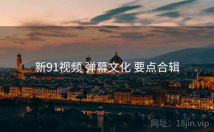 新91视频 弹幕文化 要点合辑