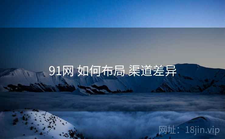 91网 如何布局 渠道差异