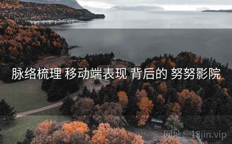 脉络梳理 移动端表现 背后的 努努影院