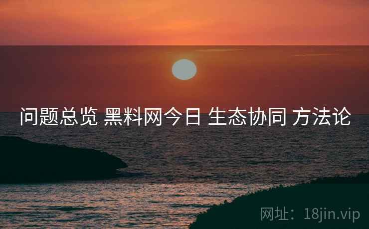 问题总览 黑料网今日 生态协同 方法论