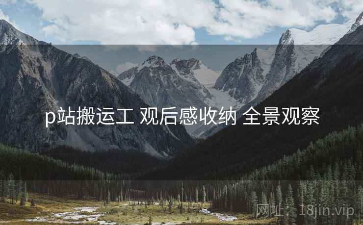 p站搬运工 观后感收纳 全景观察