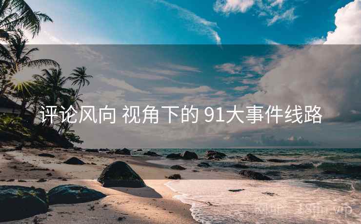 评论风向 视角下的 91大事件线路